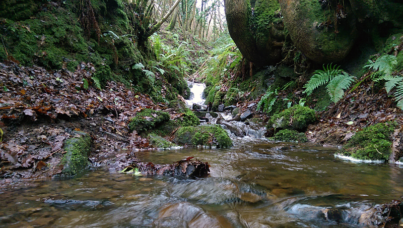 Burrington Combe 