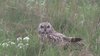 seowl-23-4-08